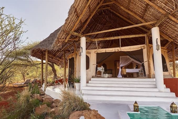 Lewa & Borana safari experience